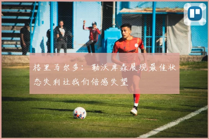 格里马尔多：勒沃库森展现最佳状态失利让我们倍感失望